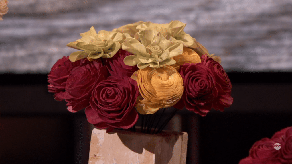 Eco Flower Update Shark Tank