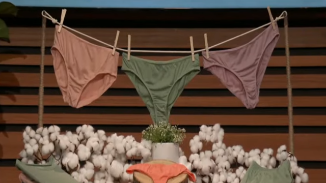 Here's What Went Down With KENT Compostable Underwear After Shark Tank