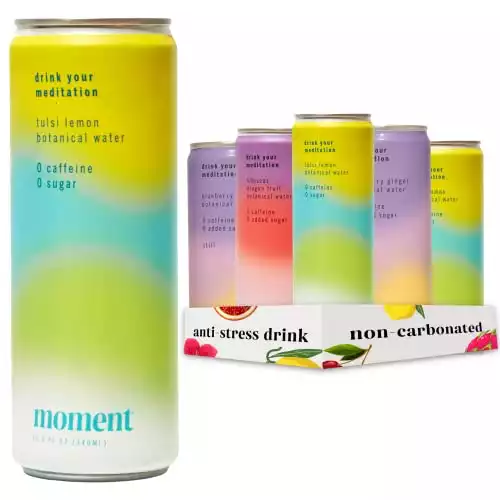 Moment Botanical Water STILL - Variety Pack Healthy & Natural with adaptogens and nootropics. L-Theanine and Ashwagandha for Zen & Stress Relief. No Caffeine or Added Sugar. Keto. 12 Cans