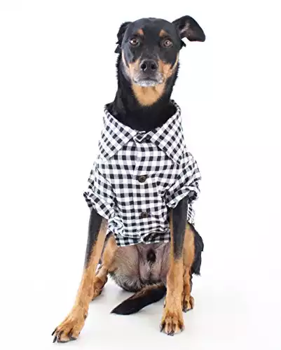 Dog Threads Plaid Dog Shirt Classic Button Down Shirt (XS (4-12lbs)) Preppy Gingham Plaid Dog Dress Shirt Black and White
