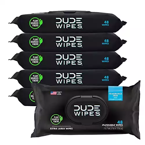 DUDE Wipes Flushable Wipes - 6 Pack, 288 Wipes - Unscented Wet Wipes with Vitamin-E & Aloe for at-Home Use - Septic and Sewer Safe