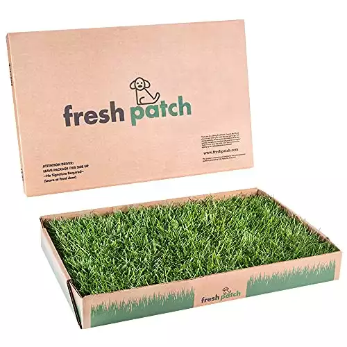 Fresh Patch Standard - Real Grass Pee and Potty Training Pad for Dogs Under 15 Pounds - Indoor and Outdoor Use - 16 Inches x 24 Inches