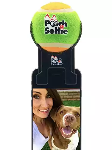 Pooch Selfie: Cell Phone Dog Universal Selfie Stick