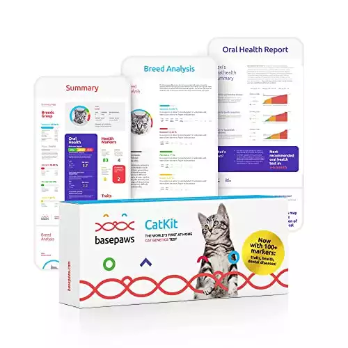 Basepaws Cat DNA Test | Breed + Health + Dental Report