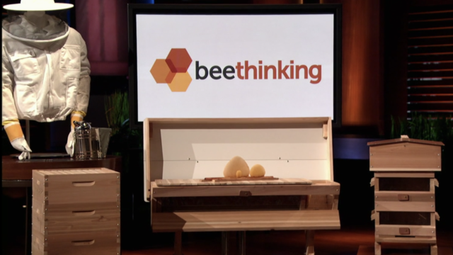 Bee Thinking Hives Update | Shark Tank Season 6