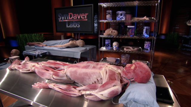 SynDaver Labs Synthetic Cadavers Update | Shark Tank Season 6