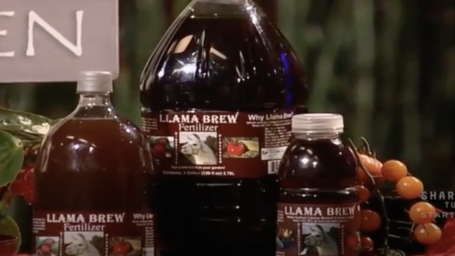 Llama Brew Update
