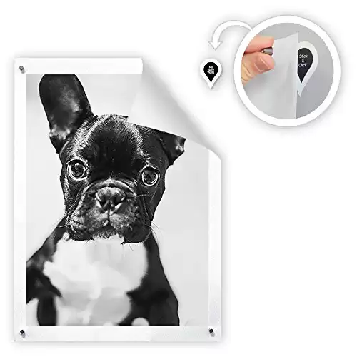 GoodHangups Damage Free Magnetic Poster and Picture Hangers Reusable Works on Any Wall As Seen On Shark Tank - 8 Pack