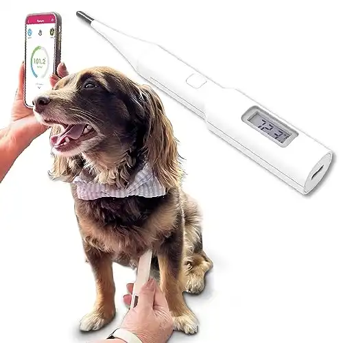 Mella | Non-Invasive Underarm Thermometer for Pets