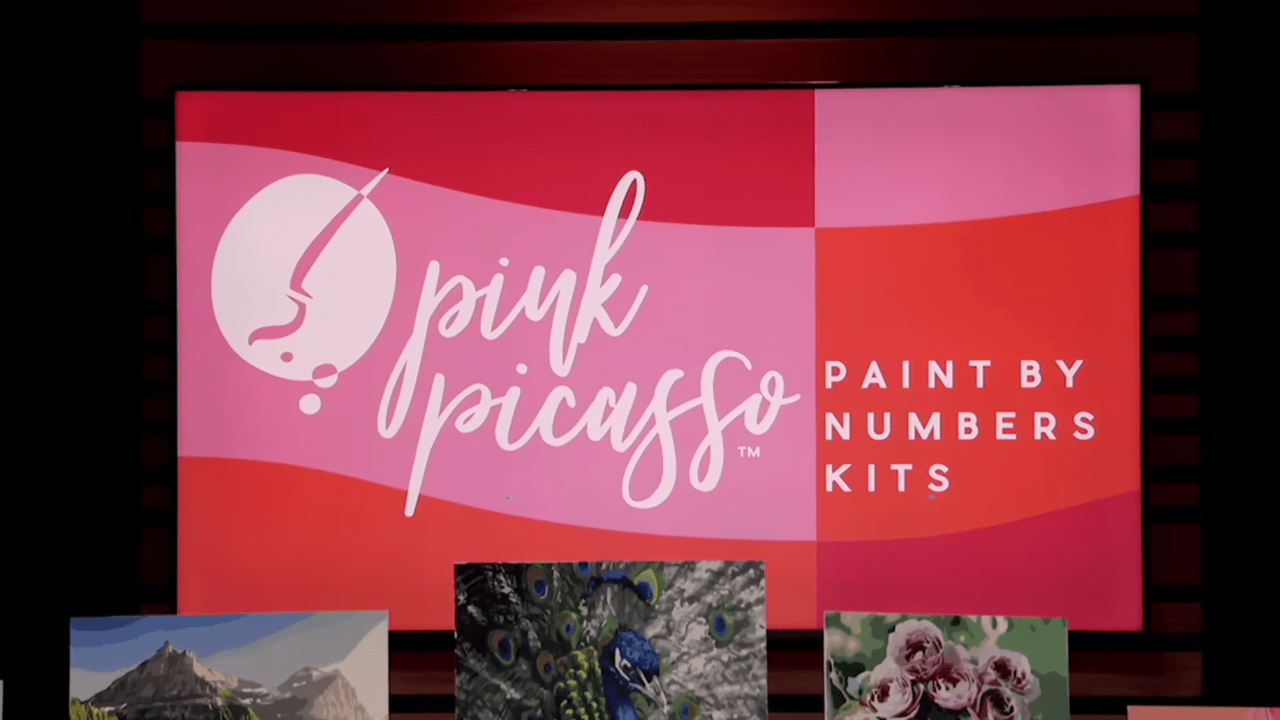 Pink Picasso Paint by Numbers Kits Shark Tank Season 13