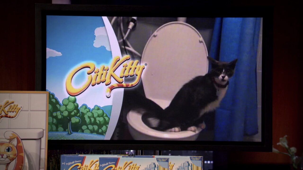 CitiKitty Toilet Training System For Cats | Shark Tank Season 2